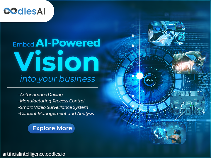 Computer vision software development services