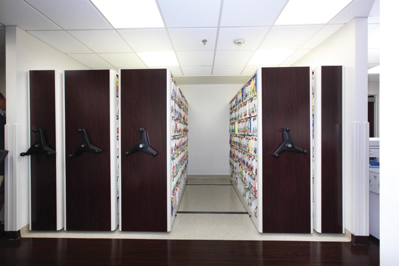 Medical transition electronic record storage