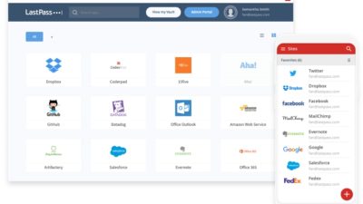 Enterprise password storage software for secure management