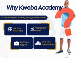 best crypto traning platforms 2025 Explore the Future