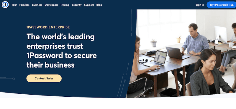 Enterprise password storage software