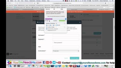 WPEngine Tutorial: How to use the WPEngine Hosting Dashboard - YouTube