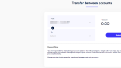 Instant fund transfer between accounts for seamless transactions
