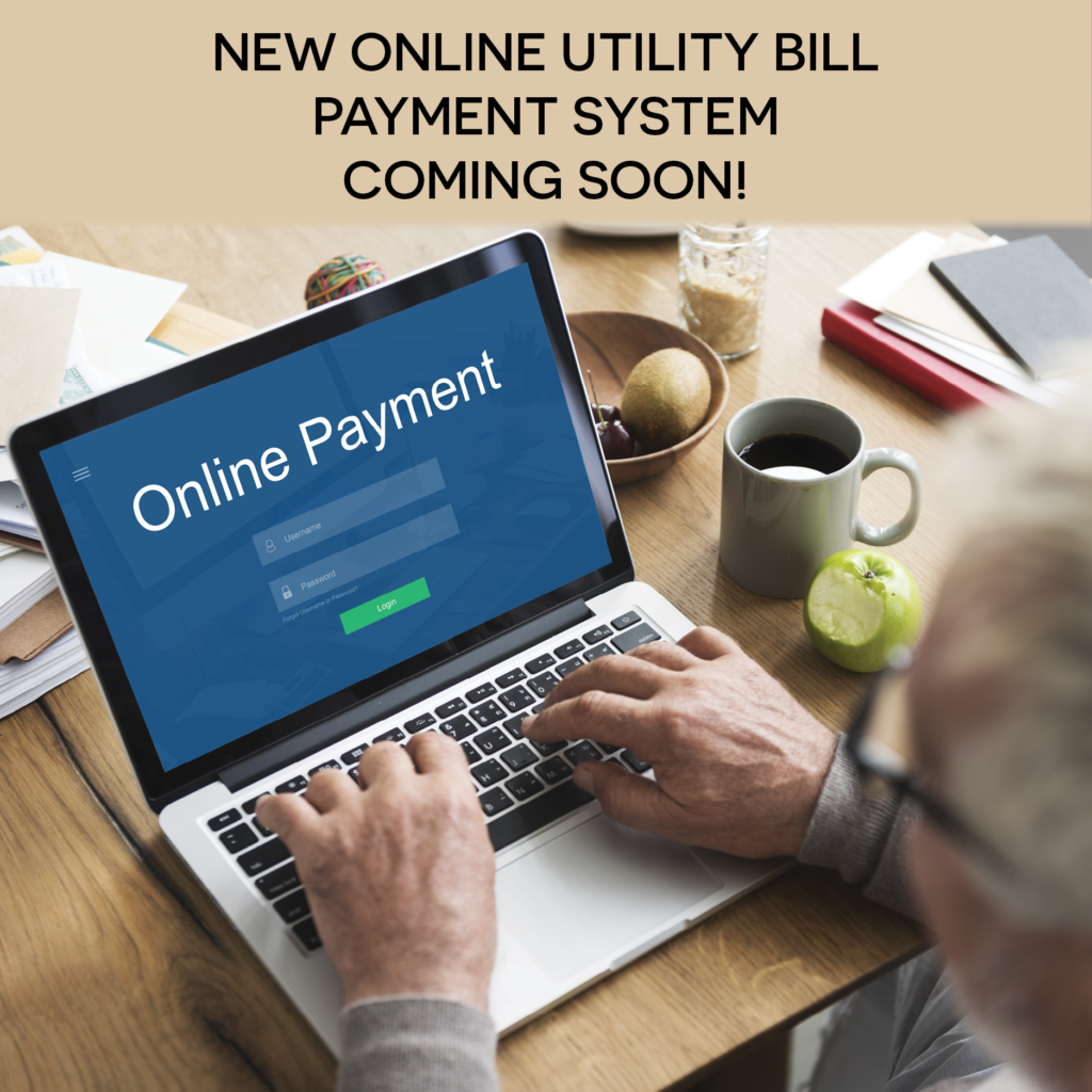 Online bill payments and transfers