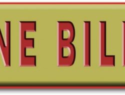 Online bill payments and transfers made easy